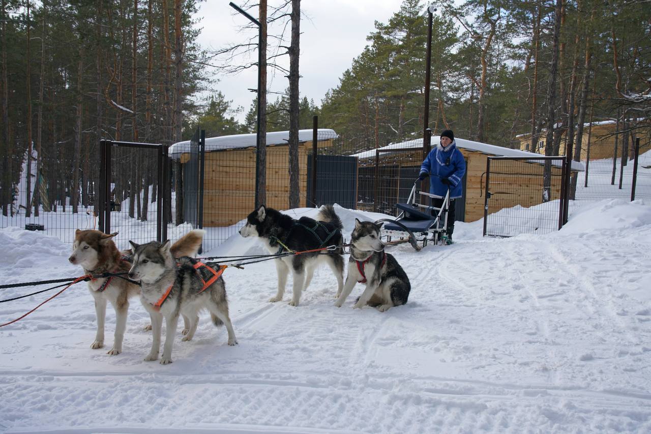 Победитель премии «Бизнес-Успех» развивает экопарк семейного отдыха